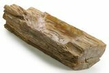 Polished Petrified Wood Dish - Madagascar #378872-2